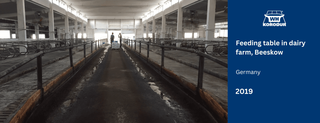 Feeding table in dairy farm, Beeskow